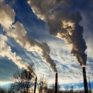 بررسی تاثیرات آلودگی محیط زیست بر رفتار
