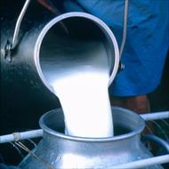 پروژه کارآفرینی جمع آوری شیر
